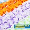 36 Counts Summer Hawaiian Leis Bulk, Tropical Flower Lei Hawaiian Lei Beach Hawaii Luau Party Favors Decoration Birthday Party Supplies(3 Dozen)